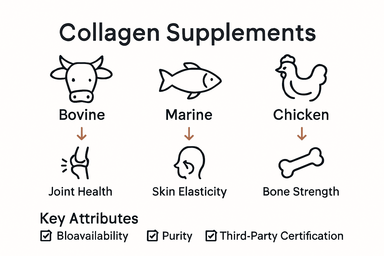Infographic comparing key collagen supplement types and benefits