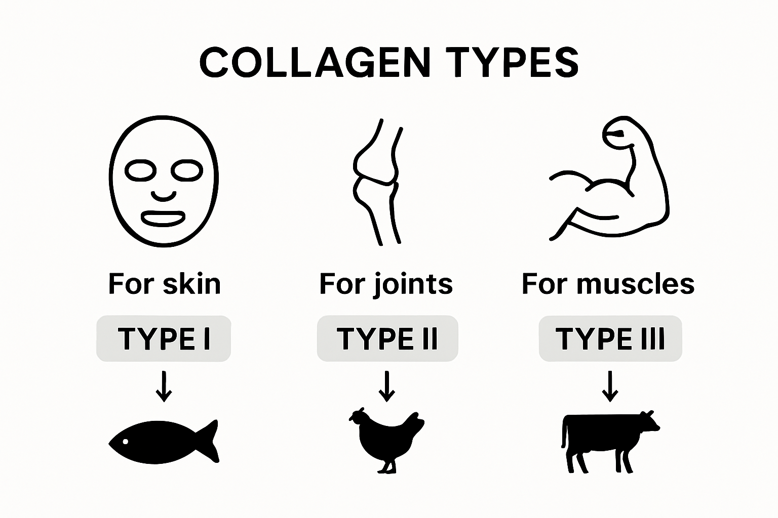 Infographic comparing collagen types and sources