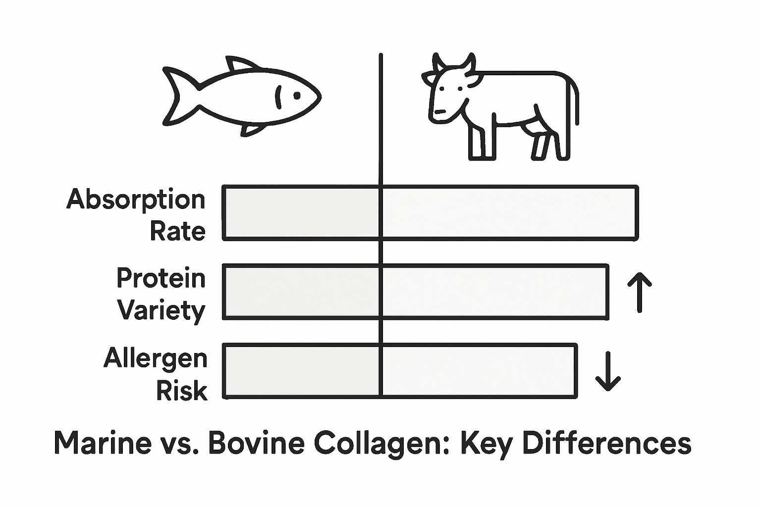 Infographic comparing marine and bovine collagen features