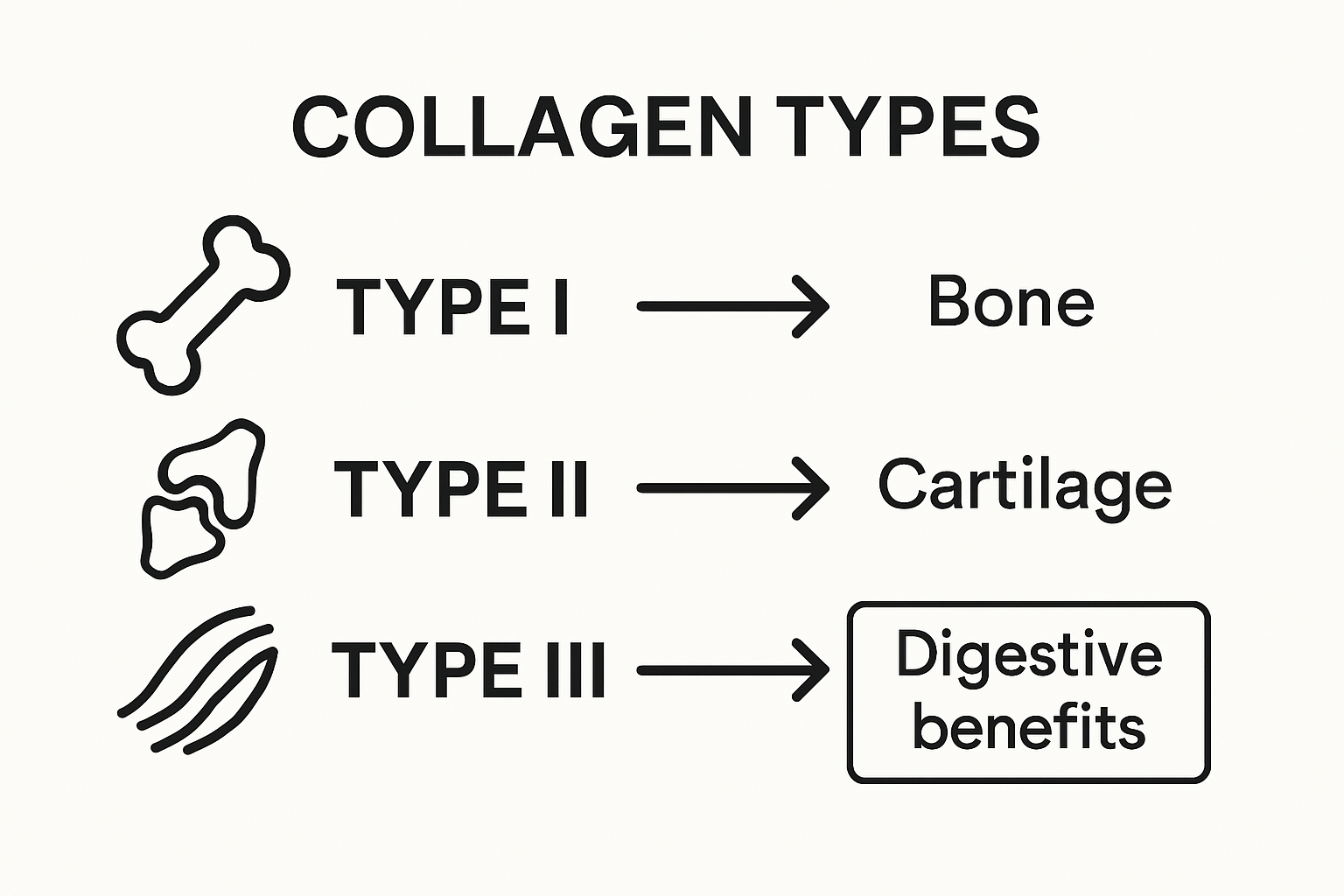 Infographic comparing collagen types and gut benefits