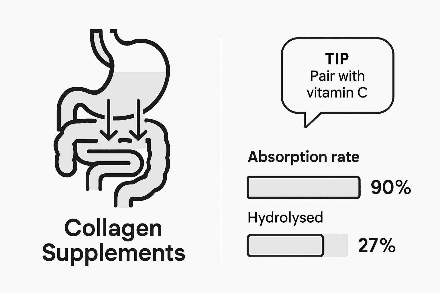 Infographic showing collagen absorption process