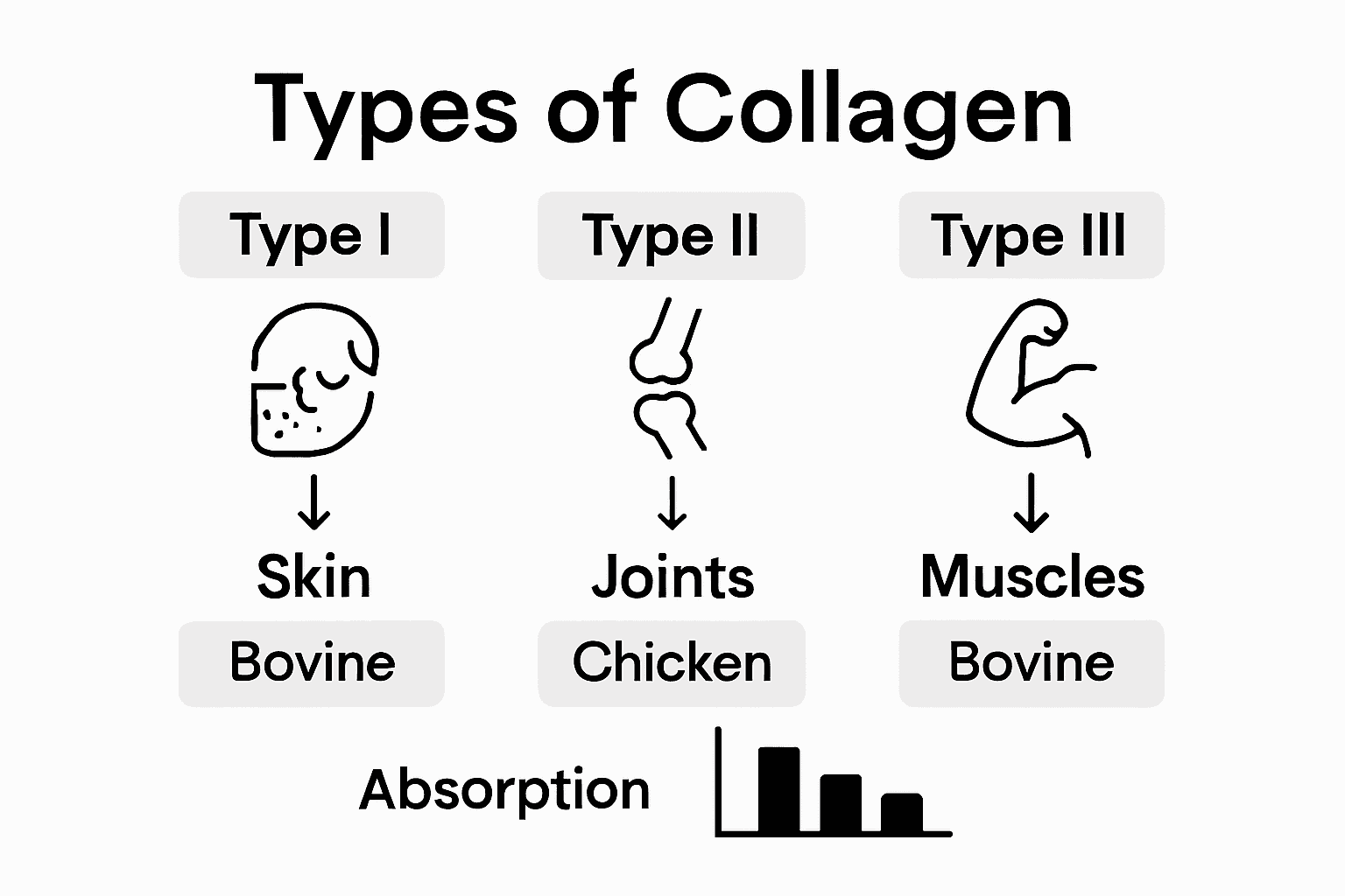Infographic showing collagen types and uses