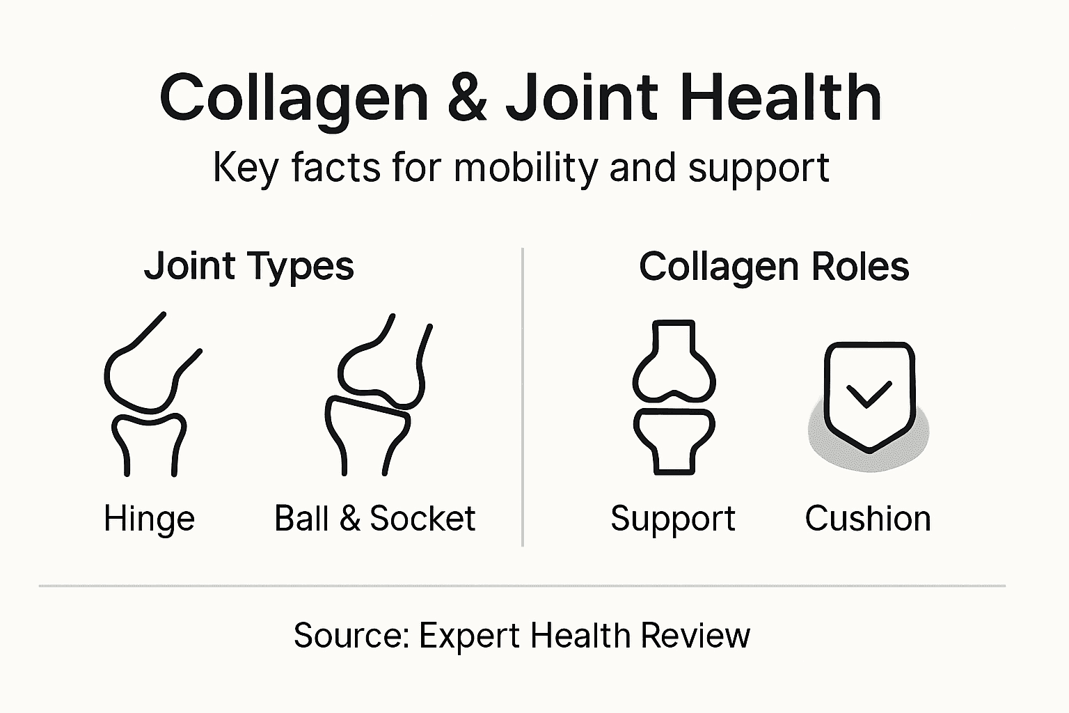 Infographic on collagen and joint mobility essentials