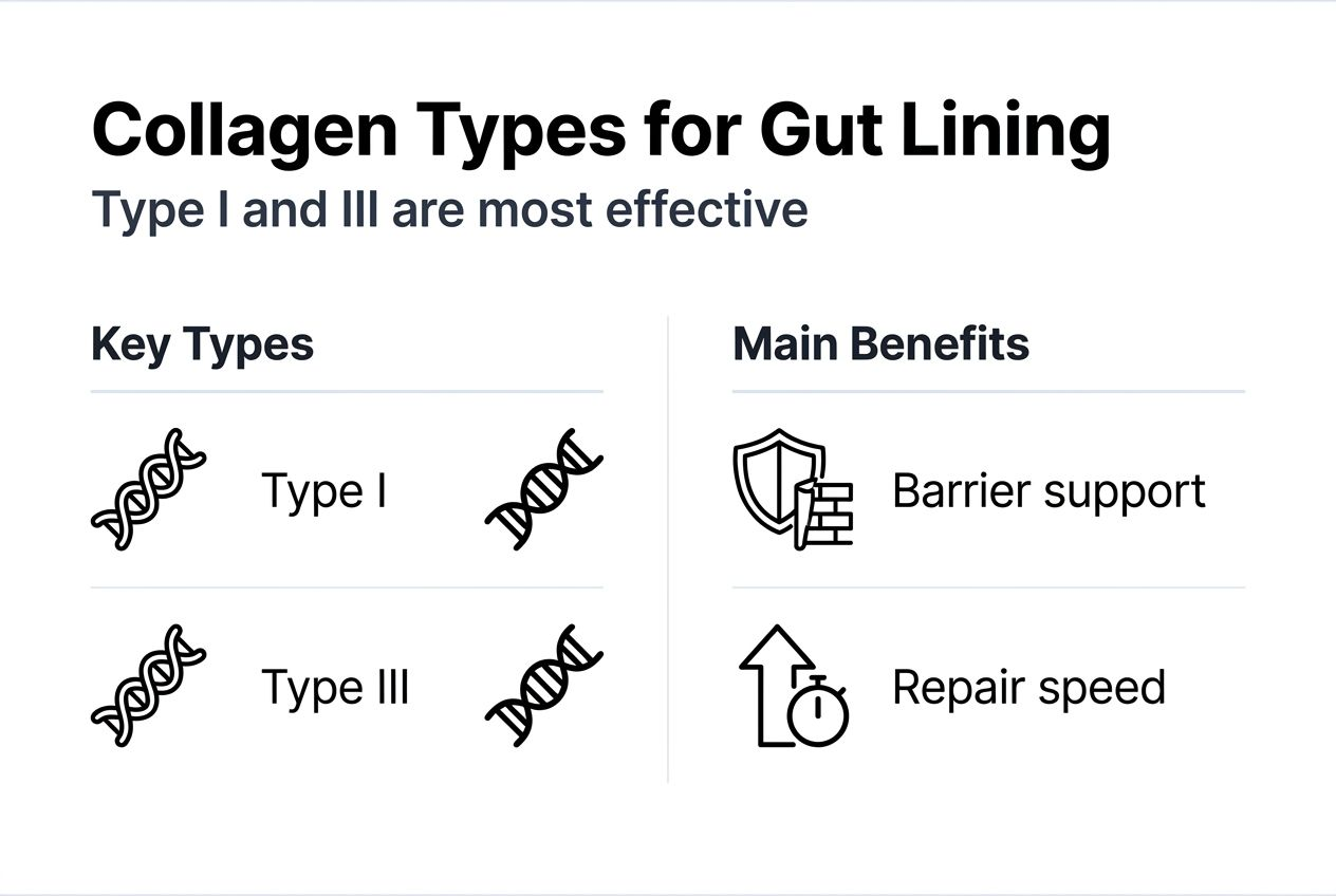 Infographic showing collagen types for gut lining