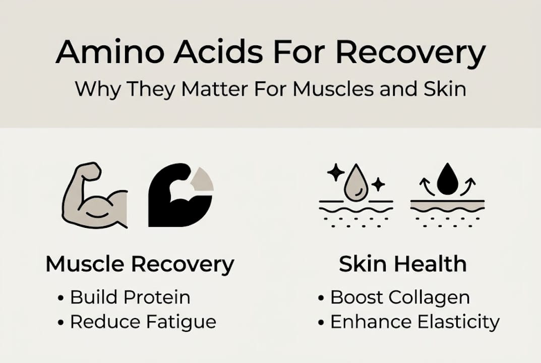 Infographic of amino acids for muscle and skin