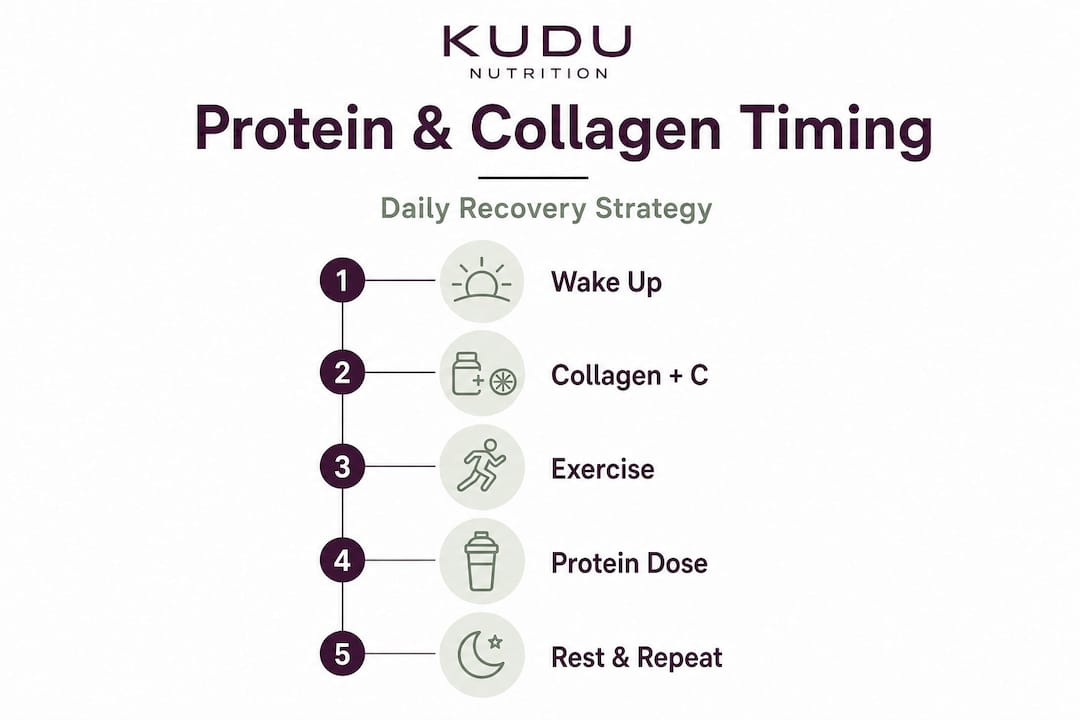 Infographic daily steps for protein and collagen use
