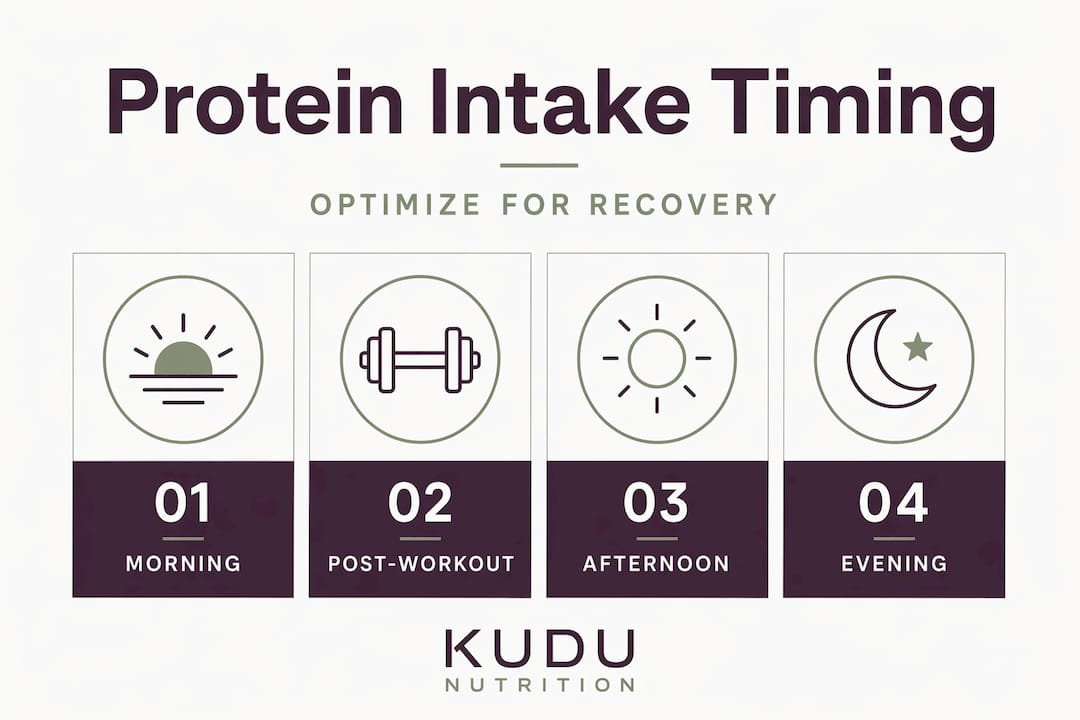 Infographic showing optimal protein intake timing