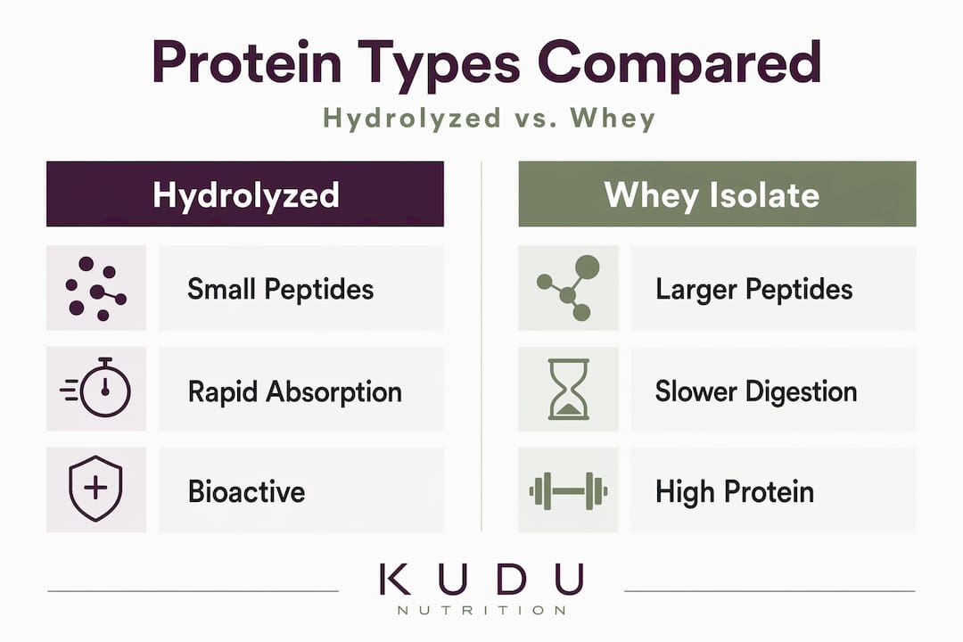 Infographic comparing hydrolyzed and whey protein
