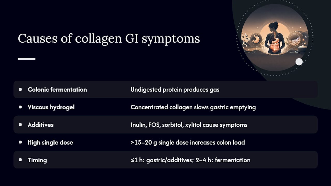Why collagen sometimes bothers the stomach — overview diagram