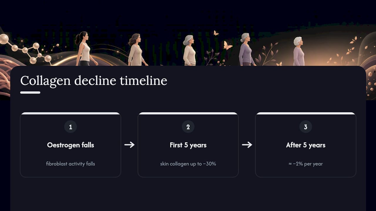 Timeline of collagen decline after menopause