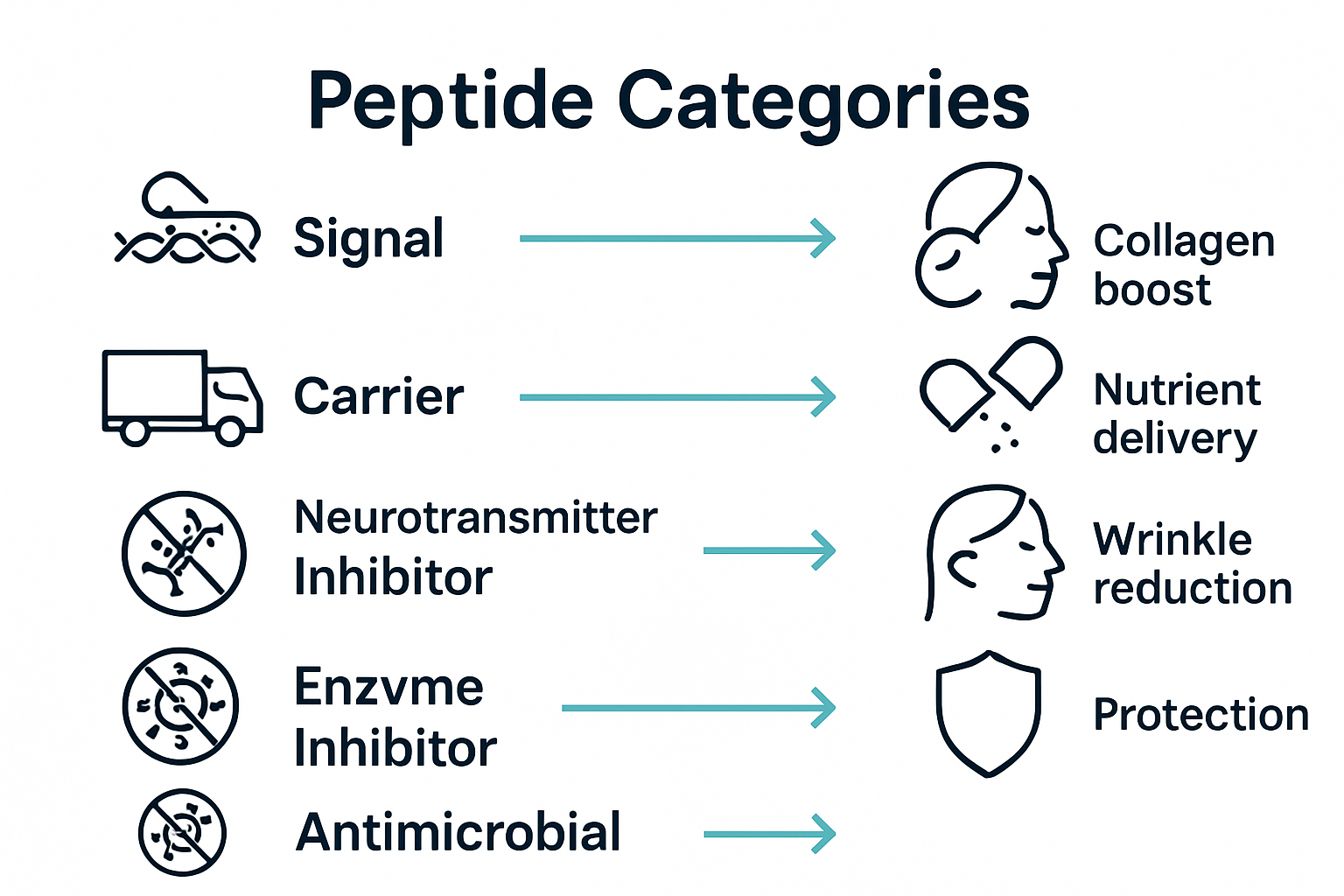 Infographic comparing five peptide types and their skin functions