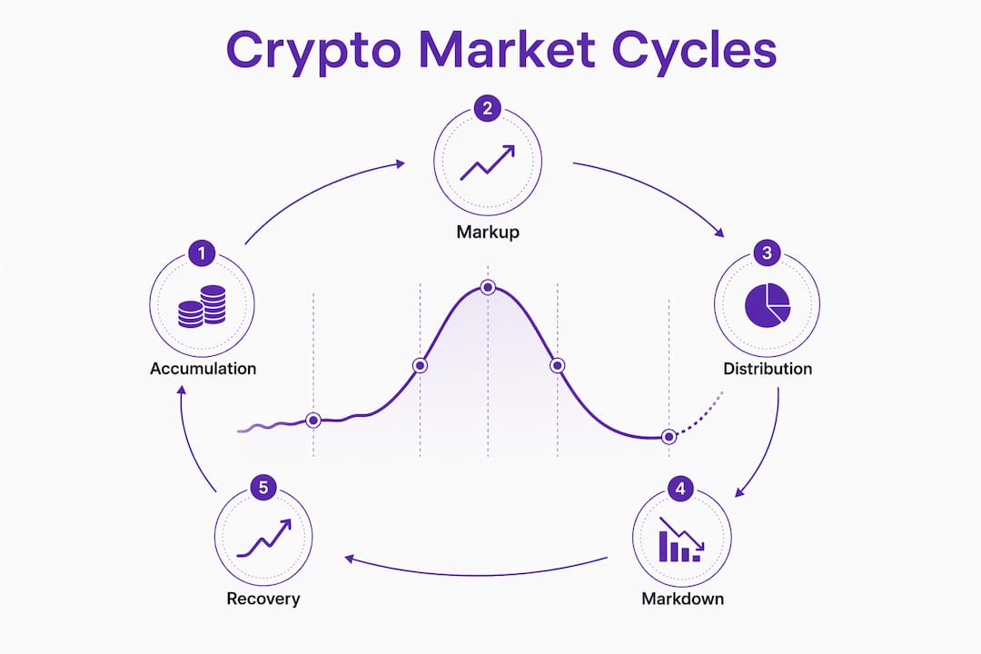 Infographic outlining crypto market cycle stages