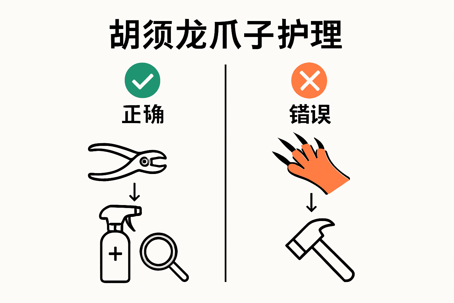 正确与错误的胡须龙爪部护理工具对比图