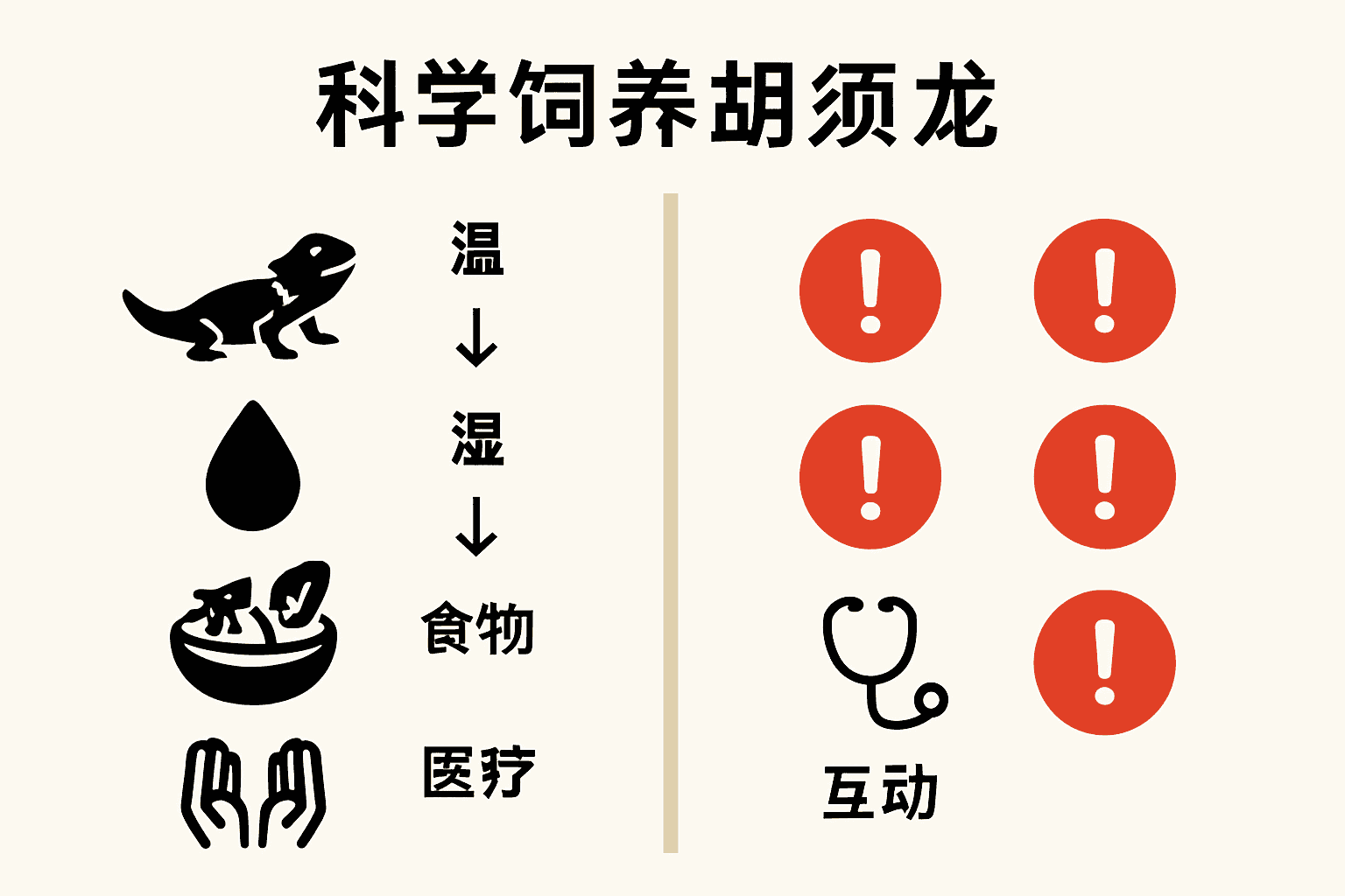 胡须龙养护流程与常见误区对比示意图