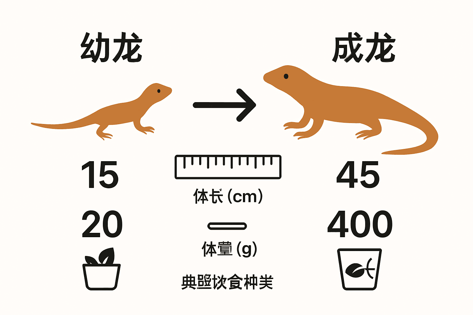 幼龙与成龙体型饮食对比图