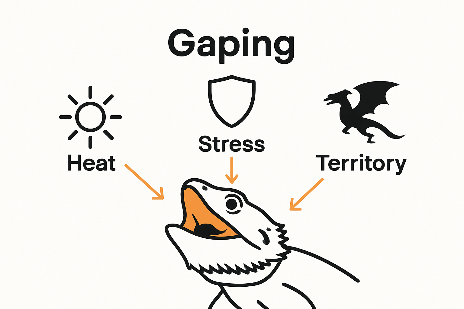 Infographic of main gaping reasons for bearded dragons