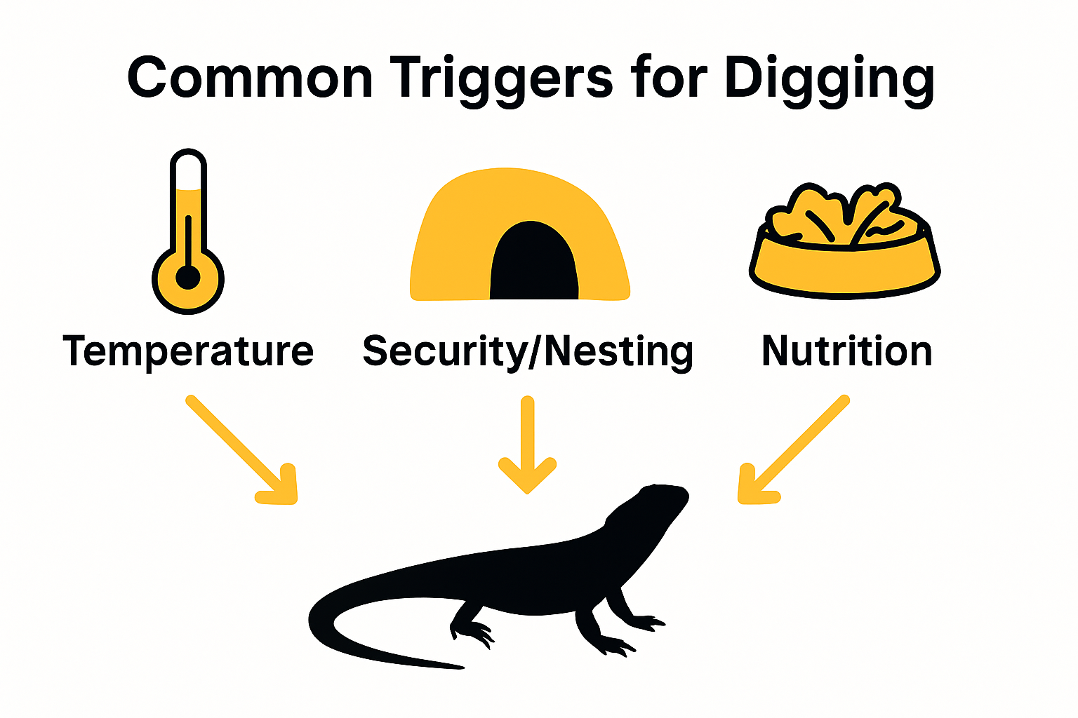 Infographic visualizing bearded dragon digging triggers