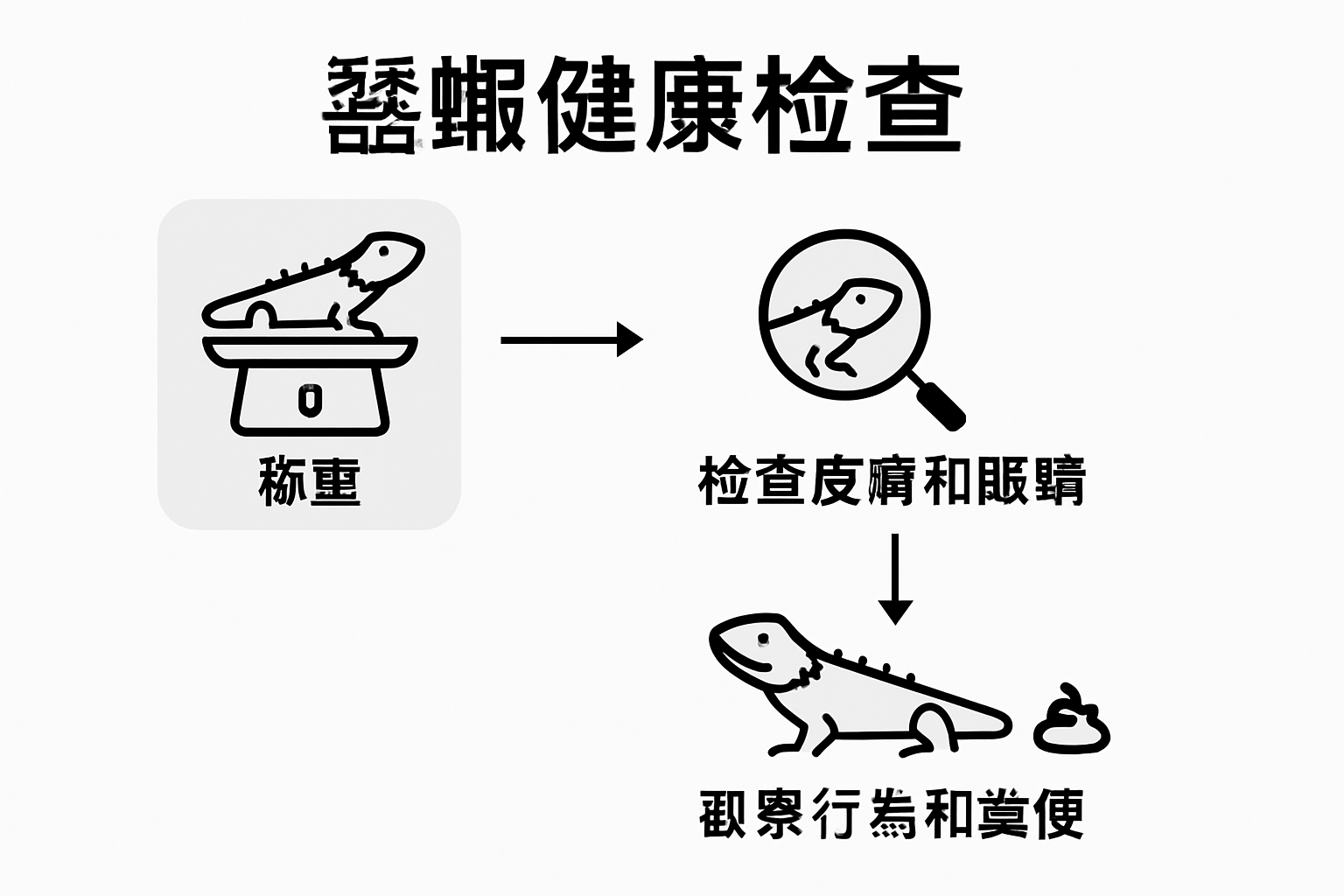 Three step bearded dragon health check infographic