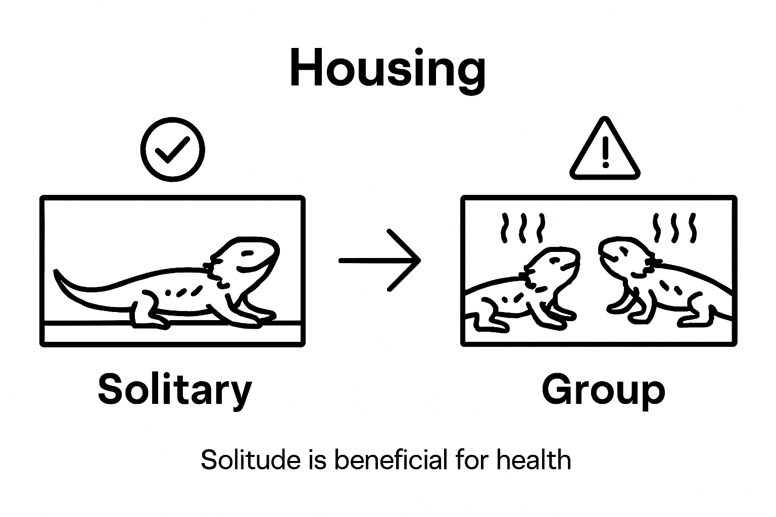 Infographic comparing solitary and group housing risks