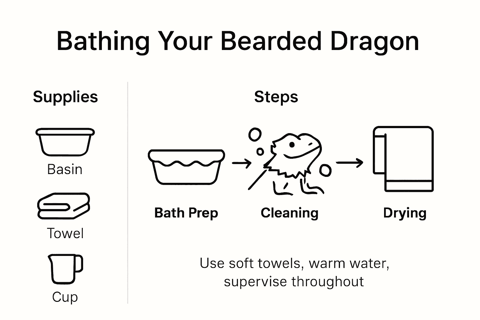 Infographic showing safe bearded dragon bath steps