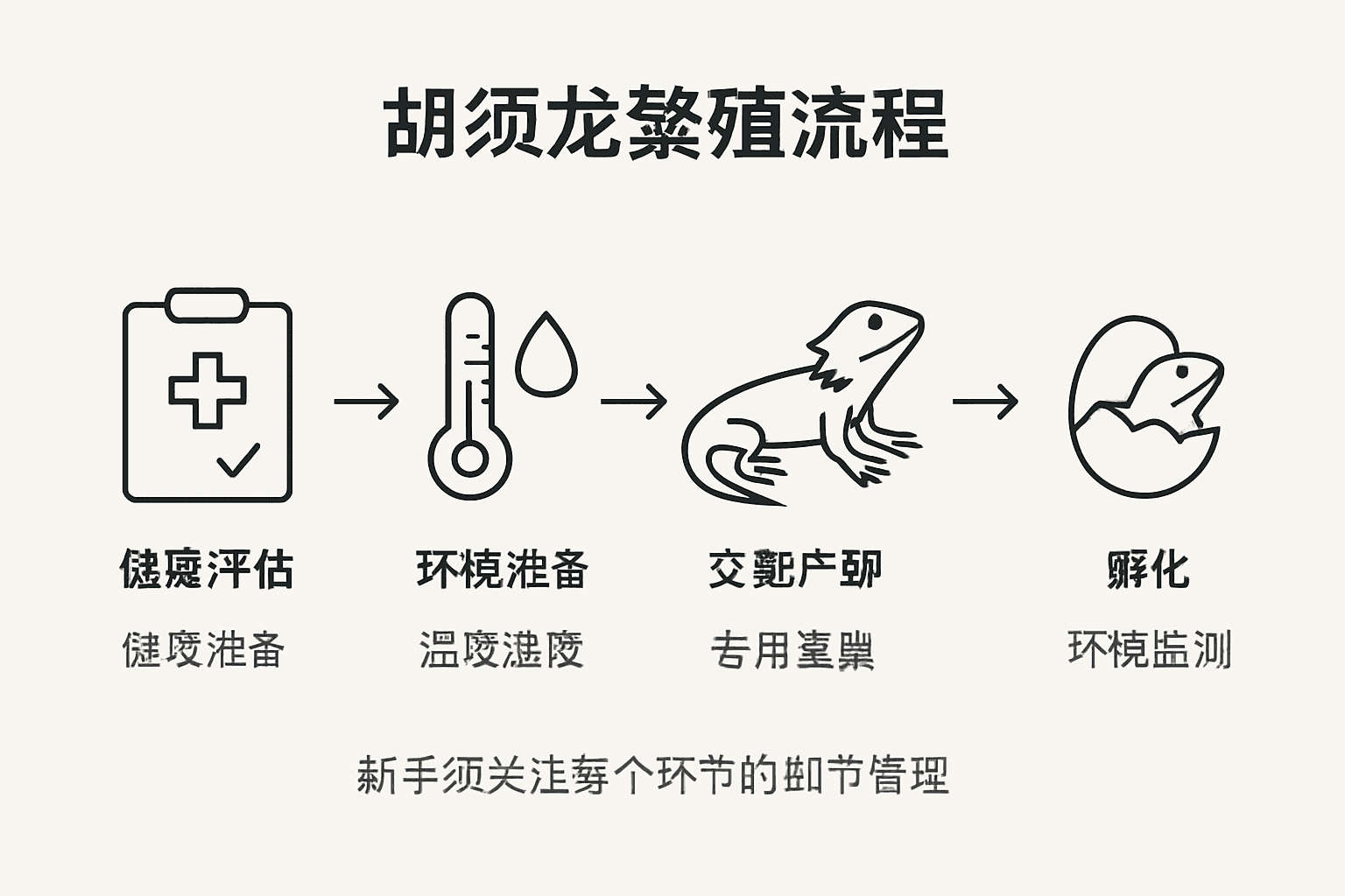 胡须龙繁殖过程全景图解