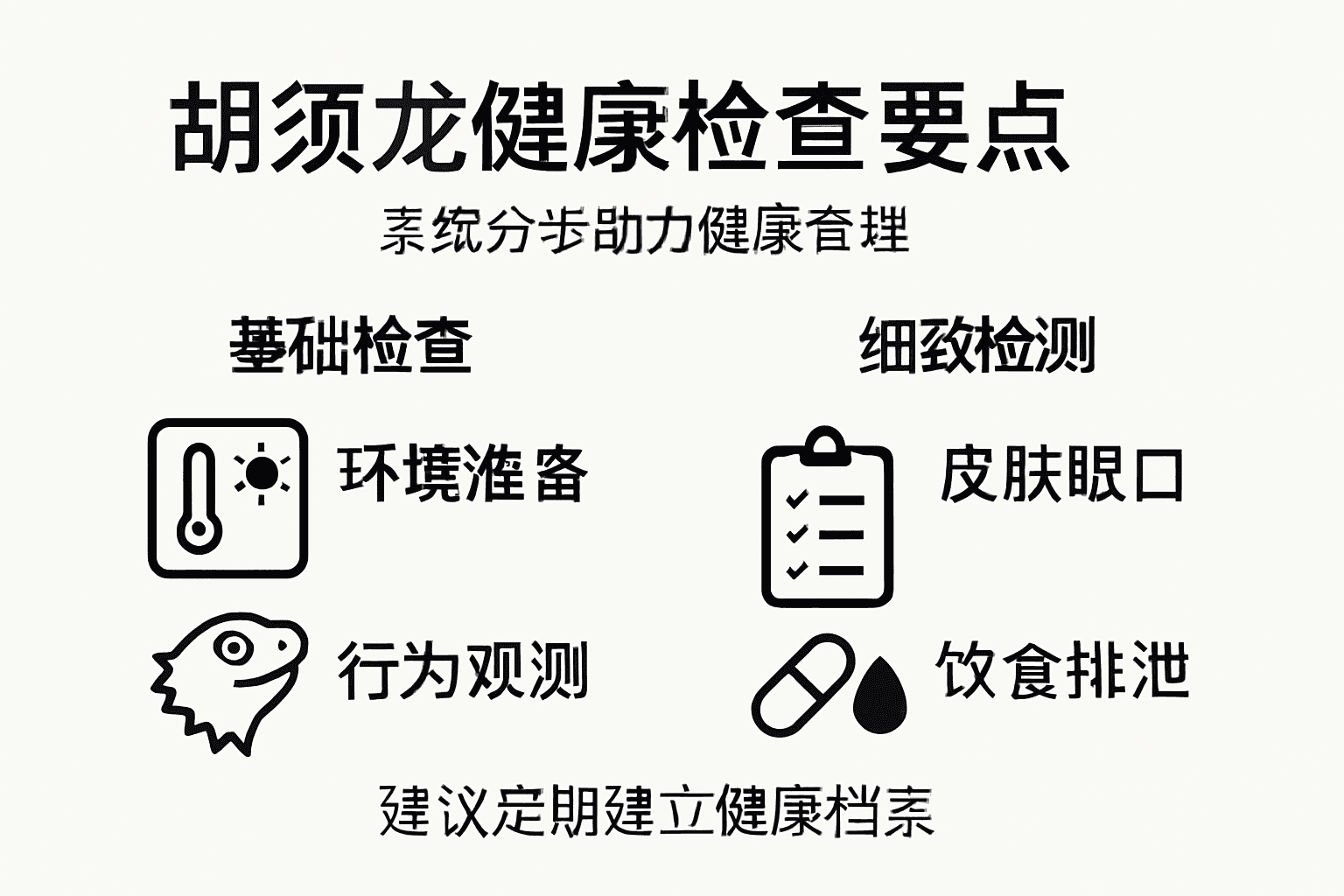 胡须龙体检流程一览图