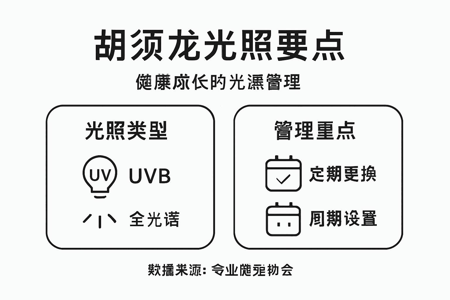 胡须龙的光照需求及日常养护要点一览