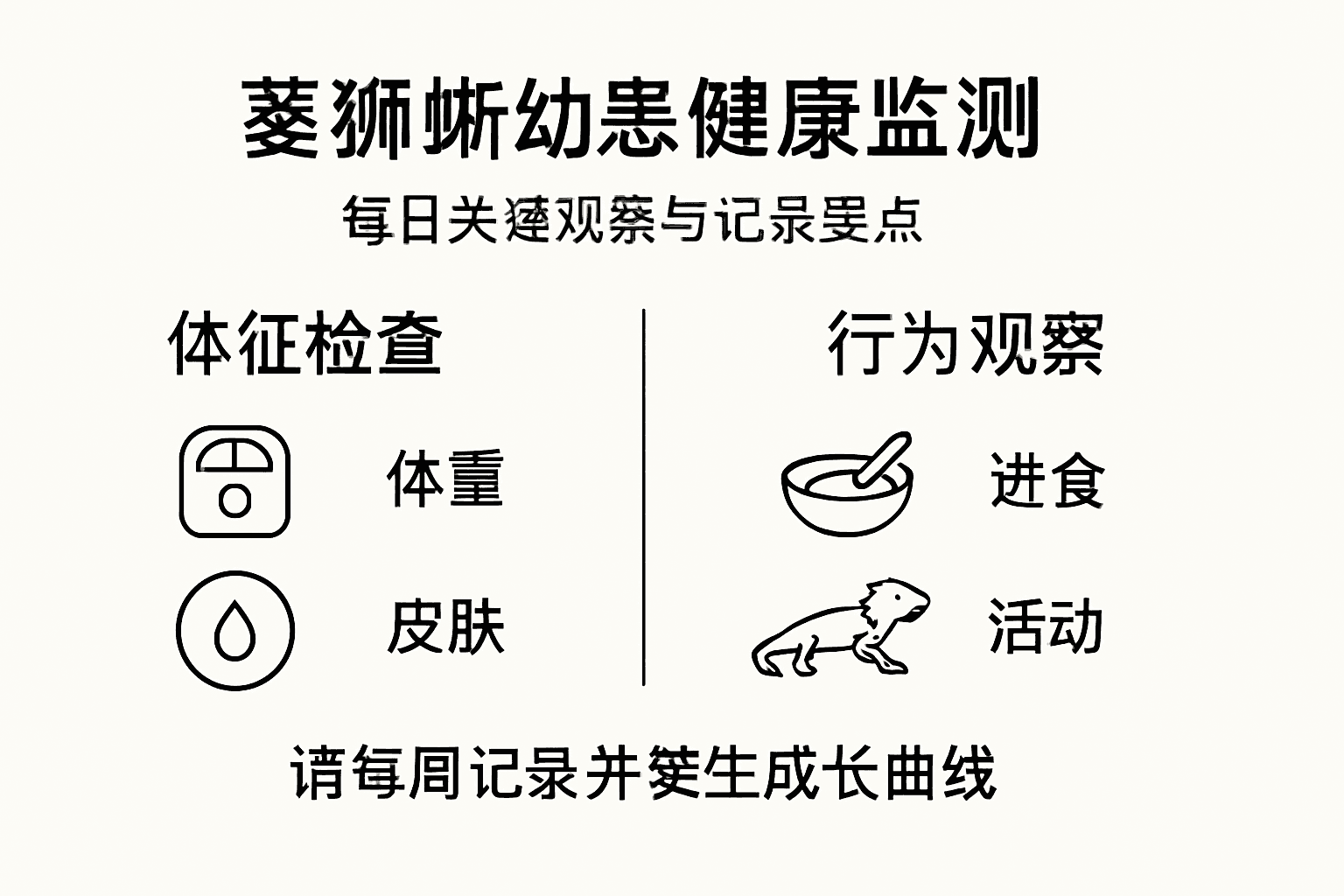 鬃狮蜥幼仔健康监测一览