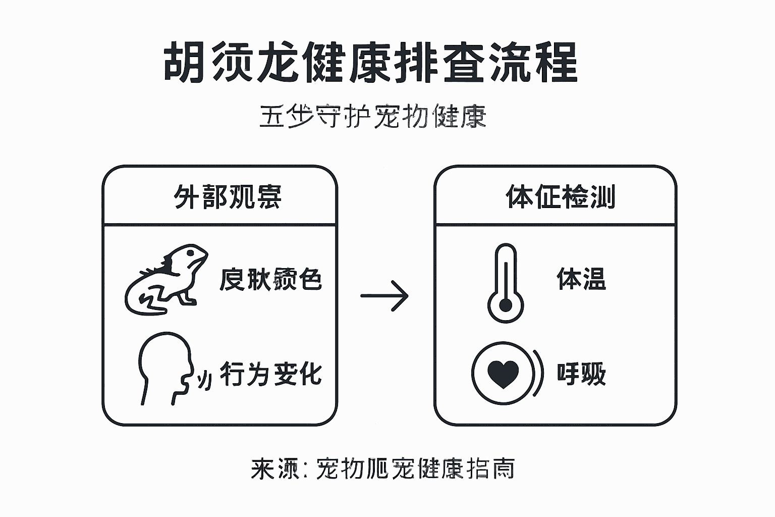 胡须龙健康检查流程一览图
