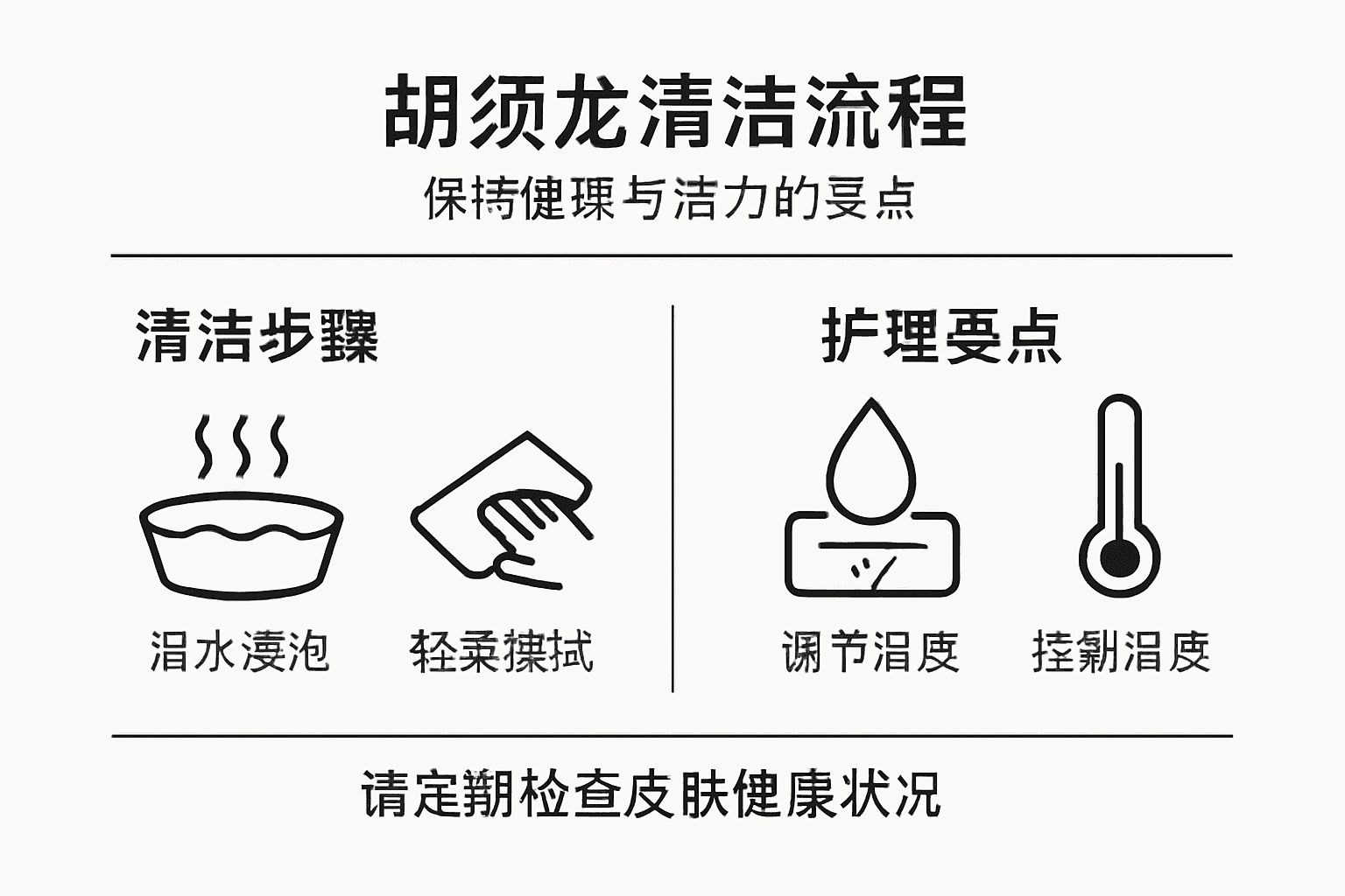 鬃狮蜥清洁流程一览图