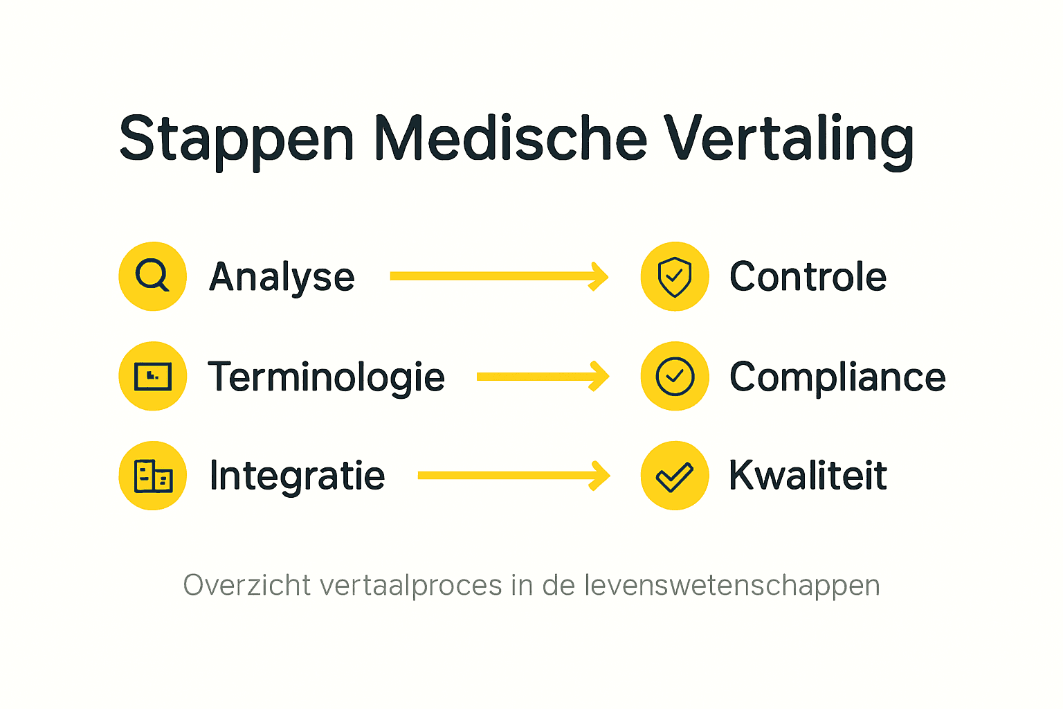 Infographic: het vertaalproces binnen de levenswetenschappen