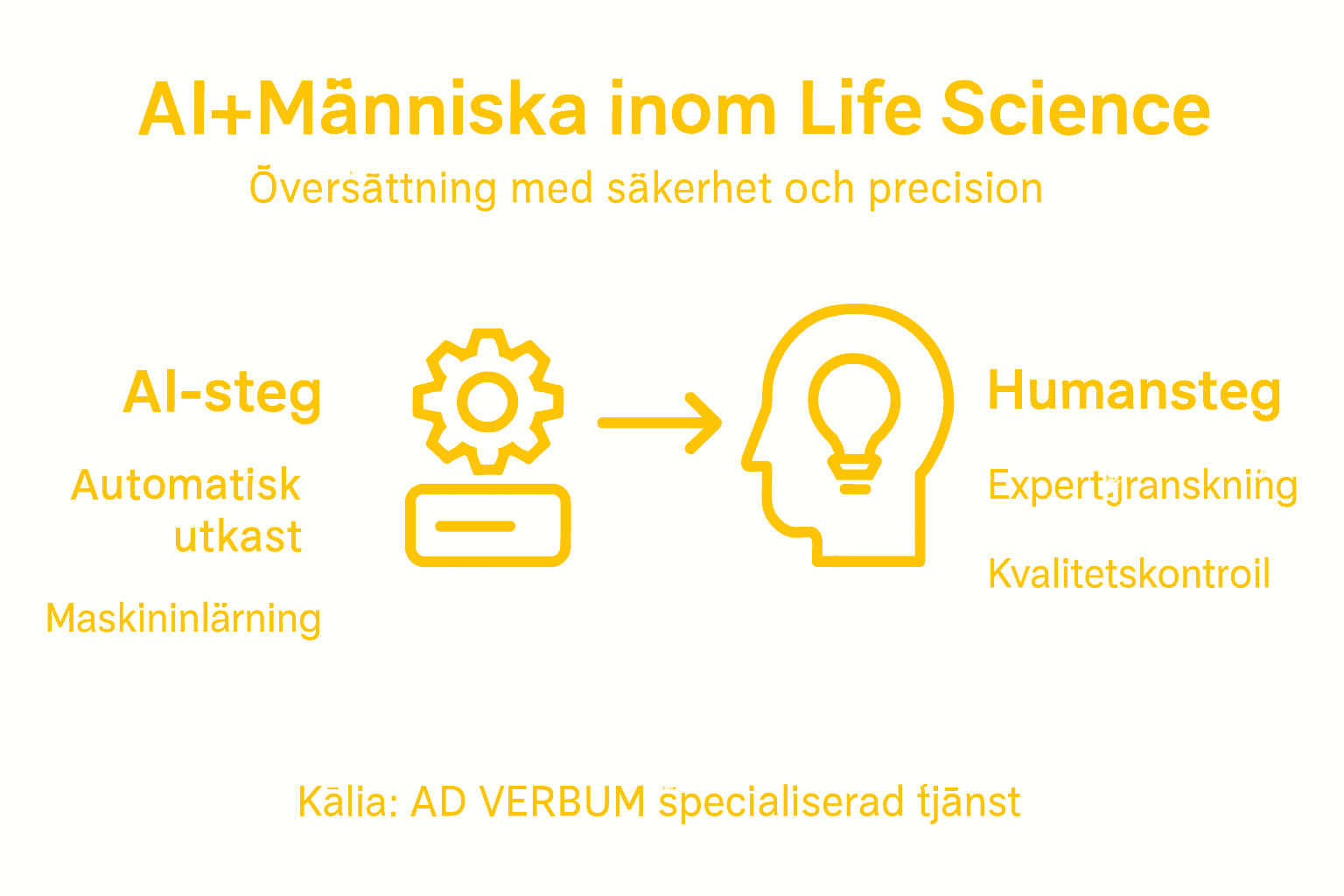 Illustration: Så samarbetar AI och människa i översättningsarbetet