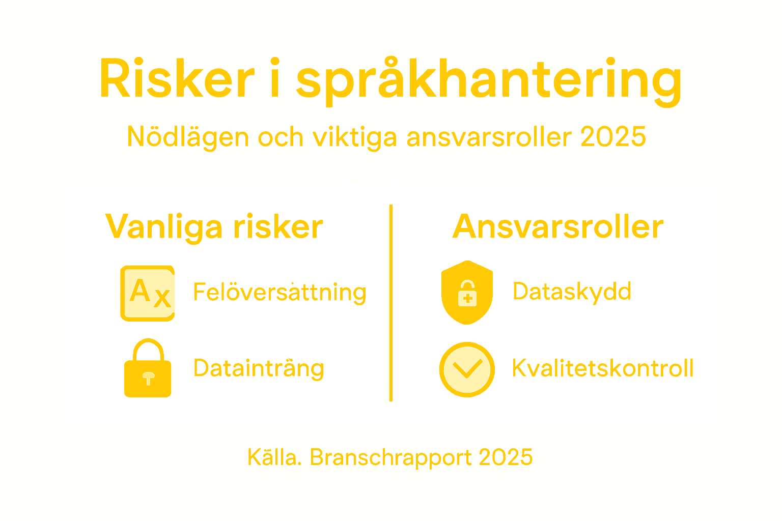 Grafisk översikt: Risker och ansvarsområden vid språkanvändning