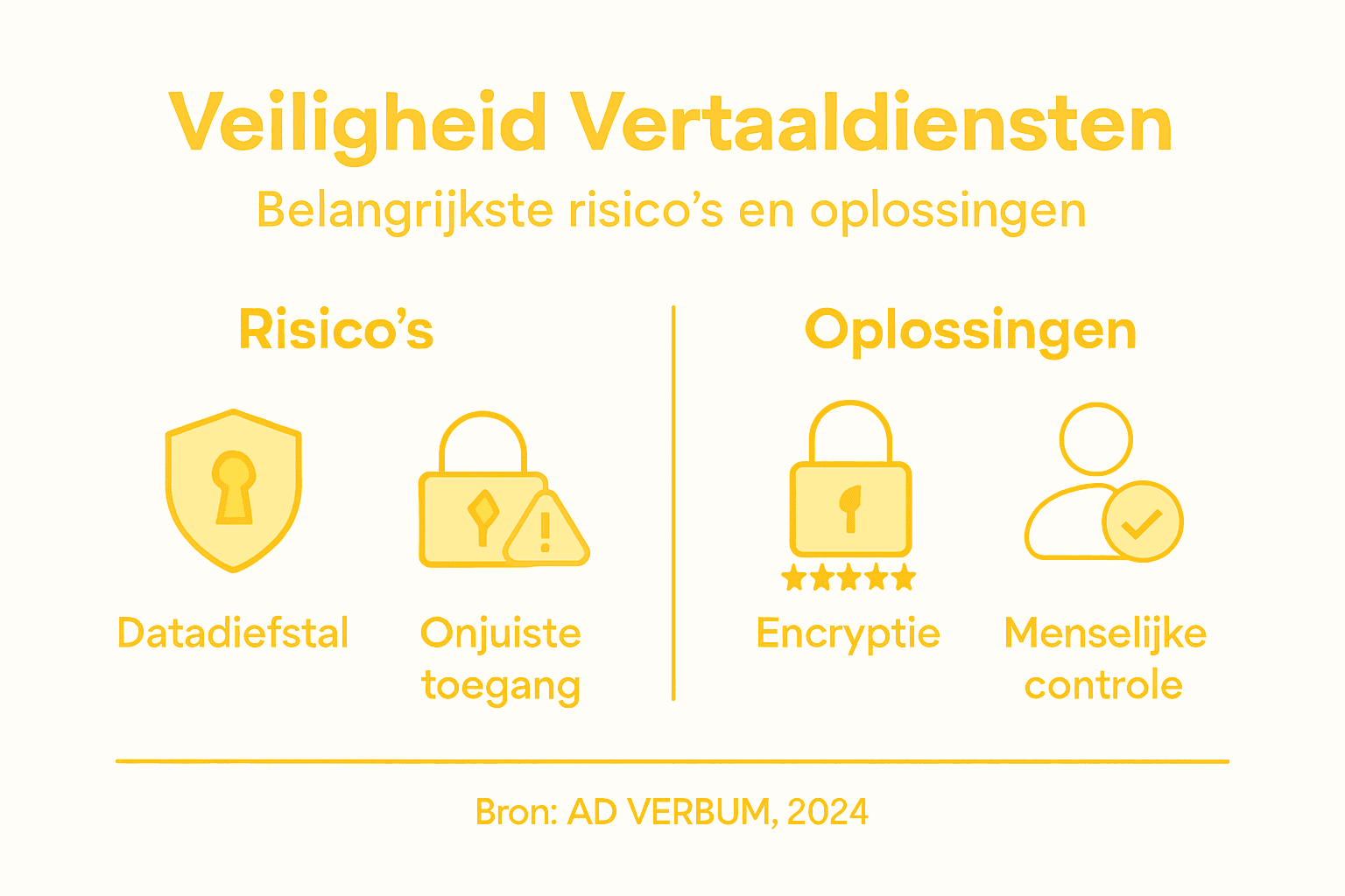 In deze infographic worden de risico’s van vertaaldiensten én praktische oplossingen helder in kaart gebracht.