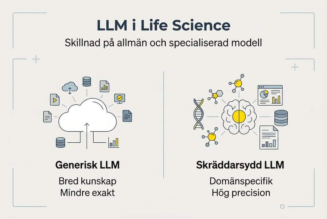 Infograf: så skiljer sig LLM-modeller inom life science