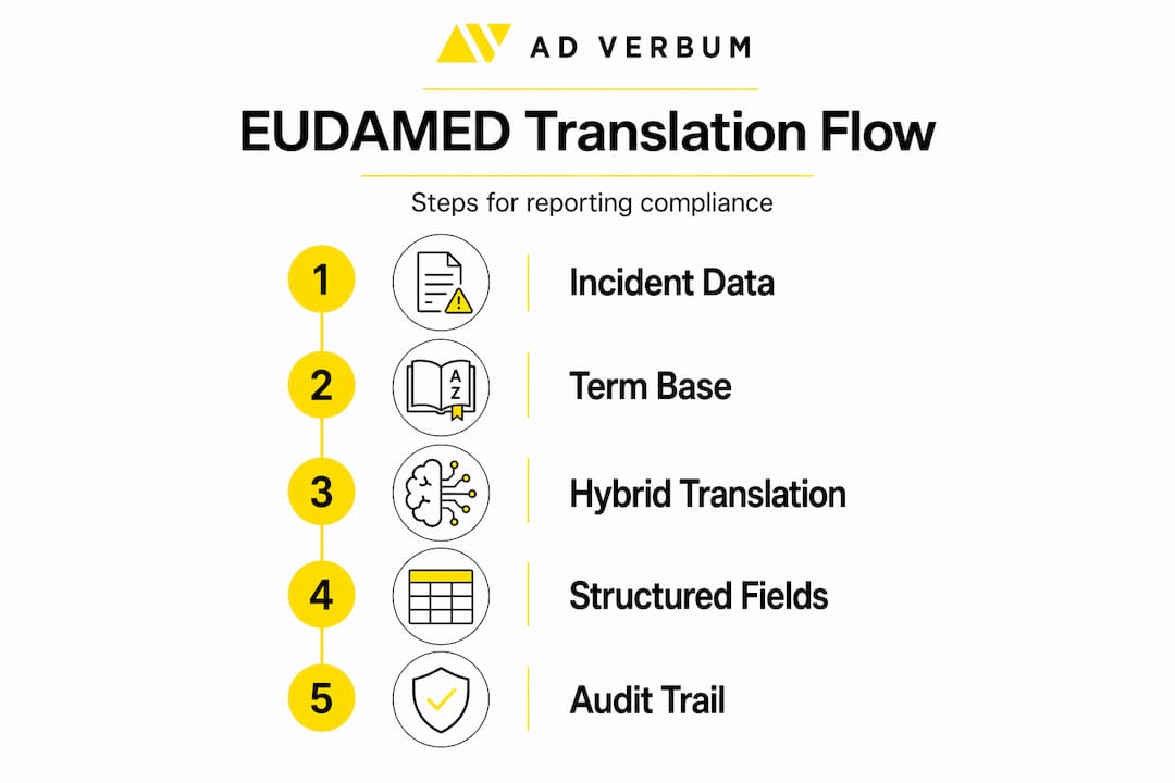 Infographic showing EUDAMED translation workflow steps