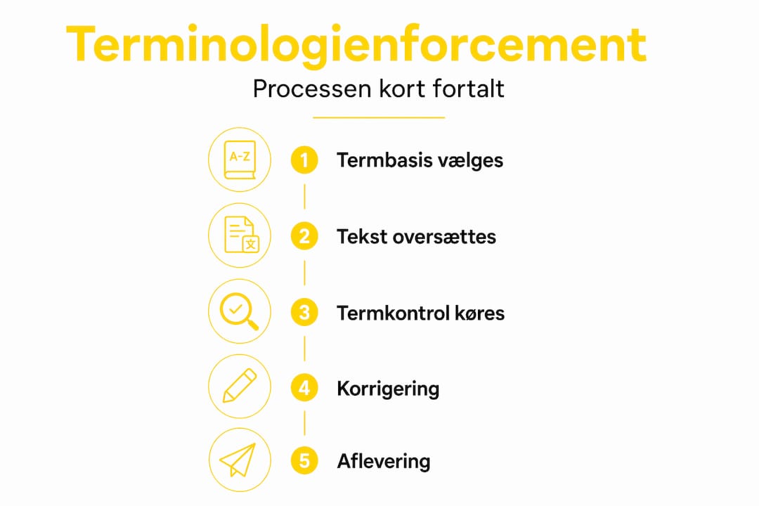 Infografik: Sådan arbejder vi med terminologi – trin for trin
