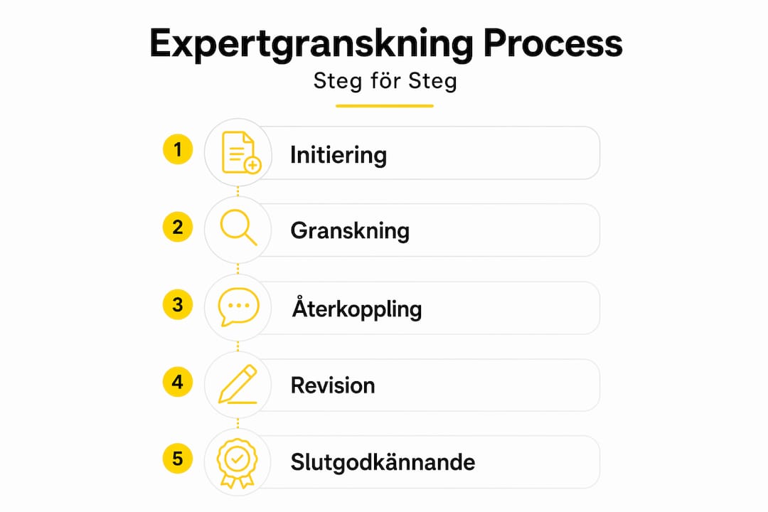 Steg-för-steg-guide: Så går en expertgranskning till – illustrerat i infografik