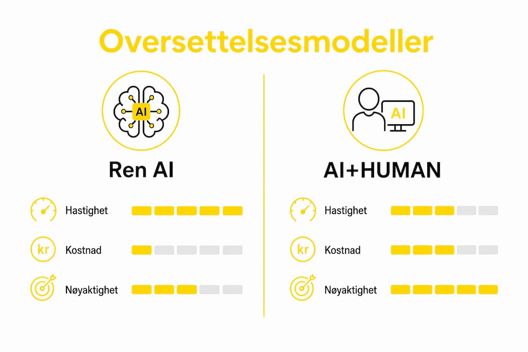 En oversiktlig infografikk som viser forskjeller og likheter mellom ulike oversettelsesmodeller