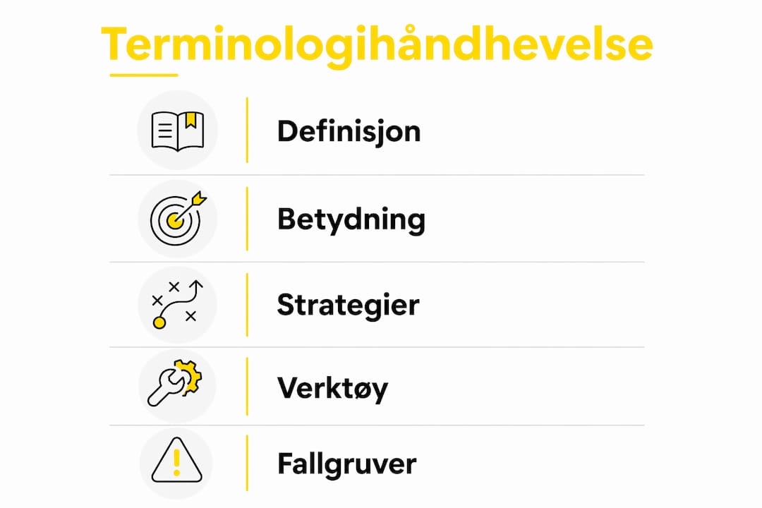 Infografikk som oppsummerer viktige punkter om bruk av riktig terminologi
