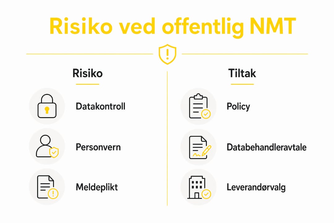 En oversiktlig infografikk gir deg innsikt i hvilke risikoer som finnes i offentlig NMT, og hvilke tiltak du kan sette inn for å håndtere dem.