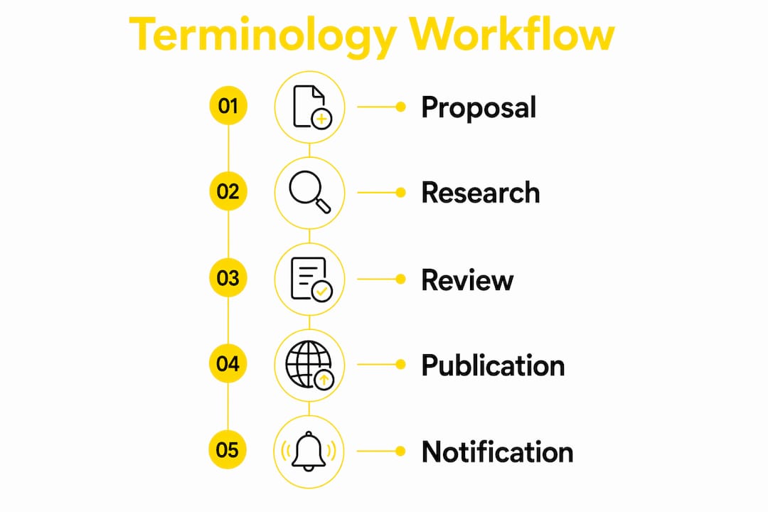 Infographic illustrating terminology workflow steps
