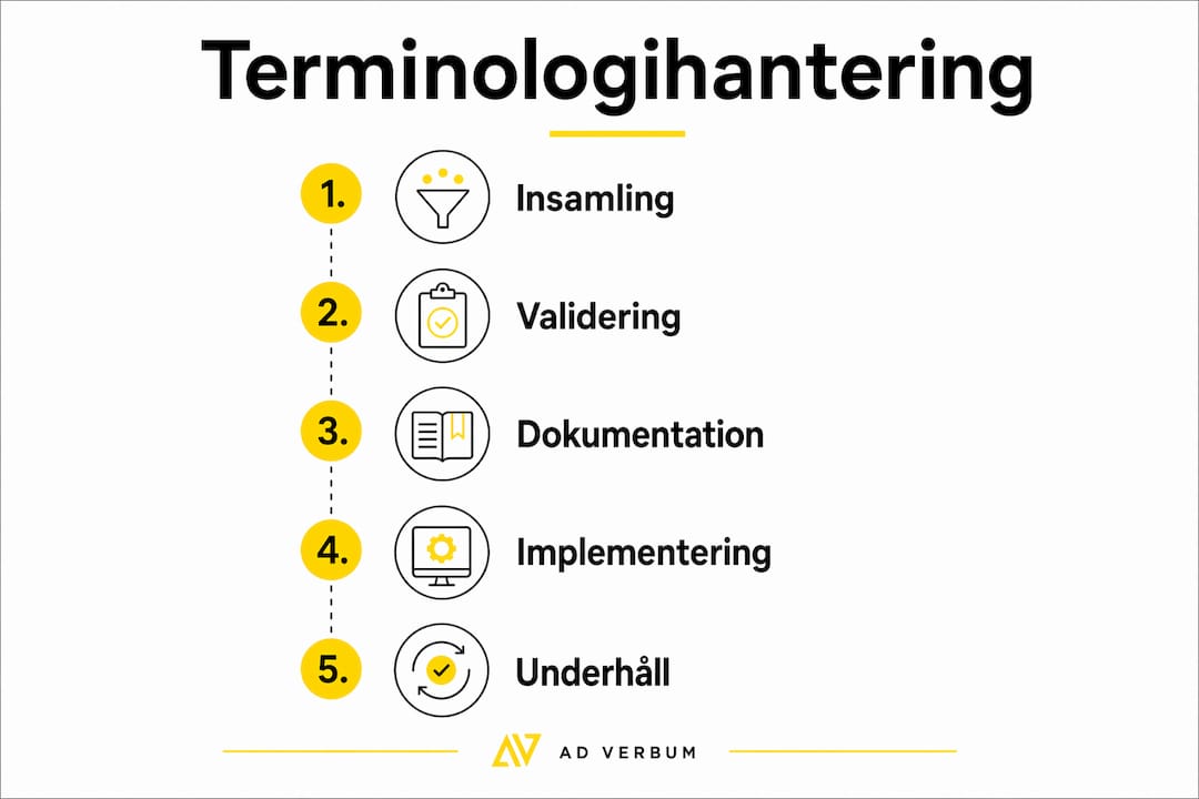 Här får du en översikt över de fem viktigaste stegen i effektiv terminologihantering, tydligt illustrerade i en infografik.