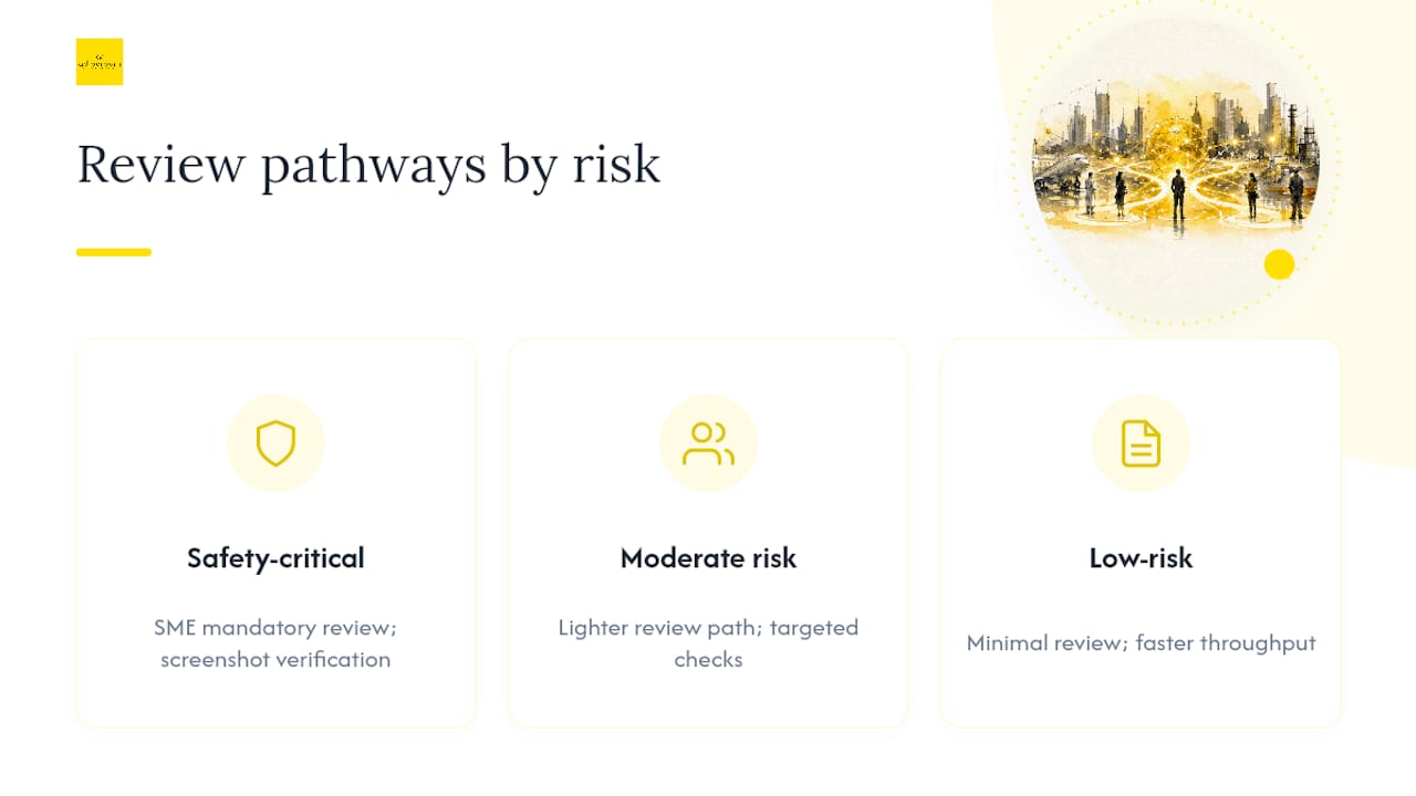 Diagram of segmented risk tiers and review process