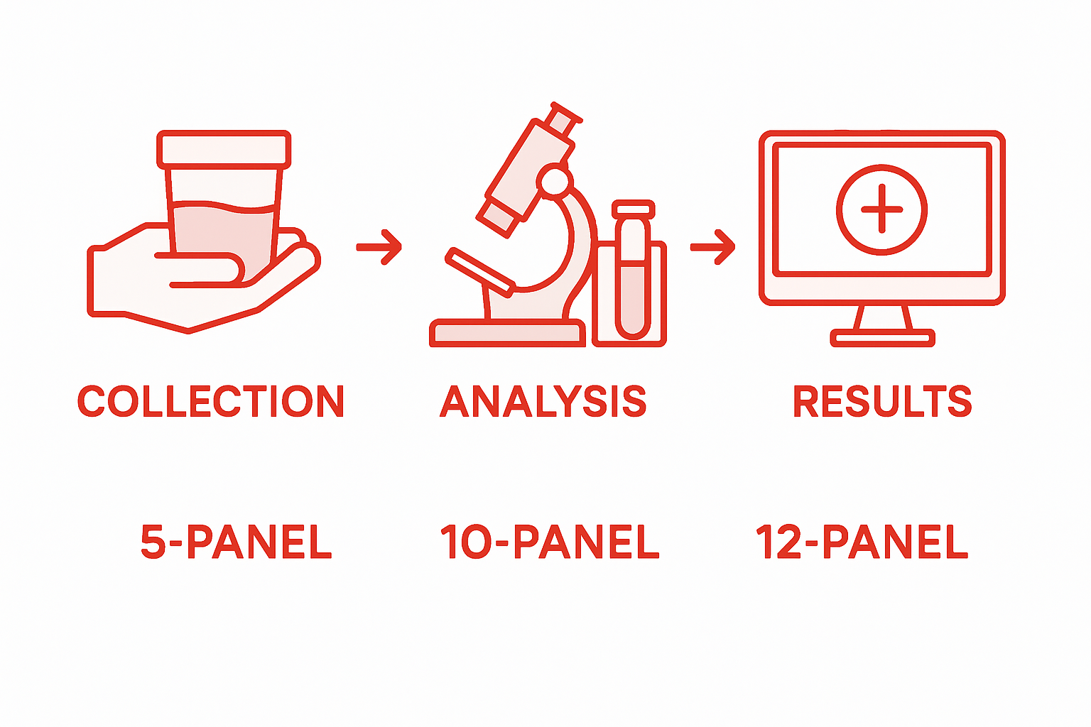 Infographic: drug panel testing workflow