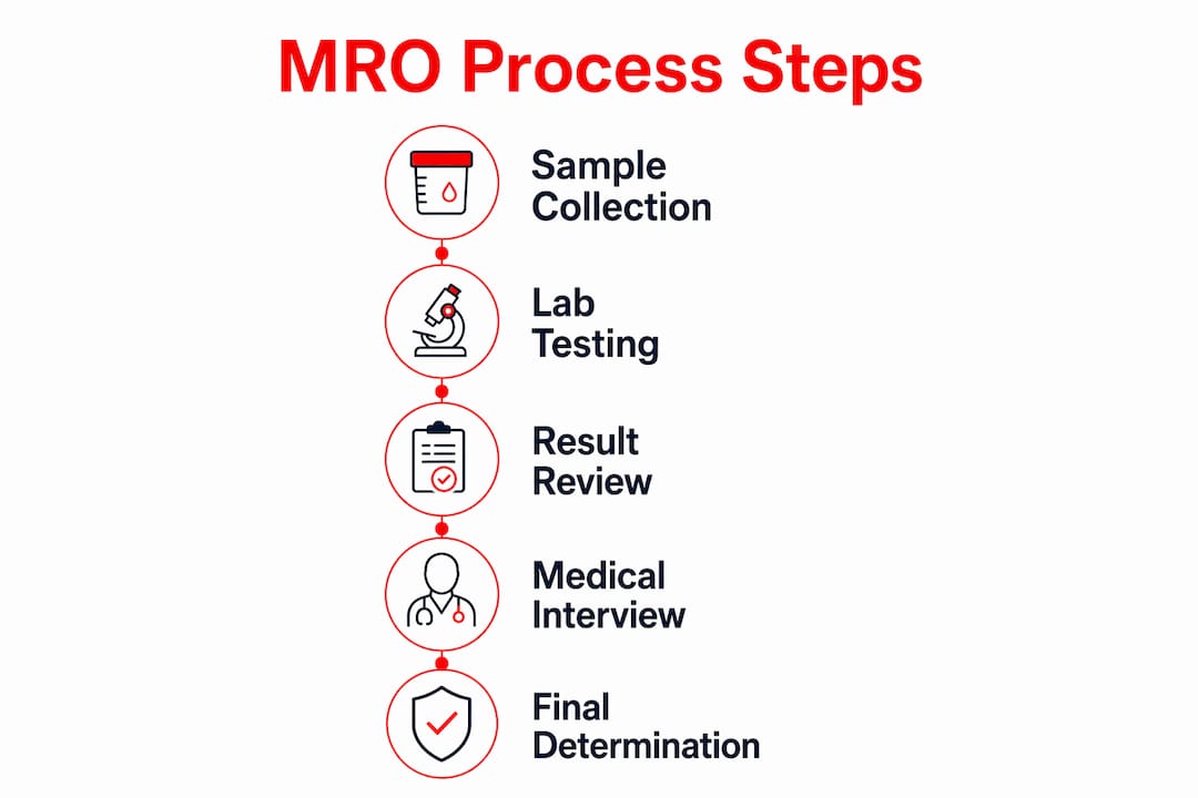 Infographic illustrating steps of the MRO process