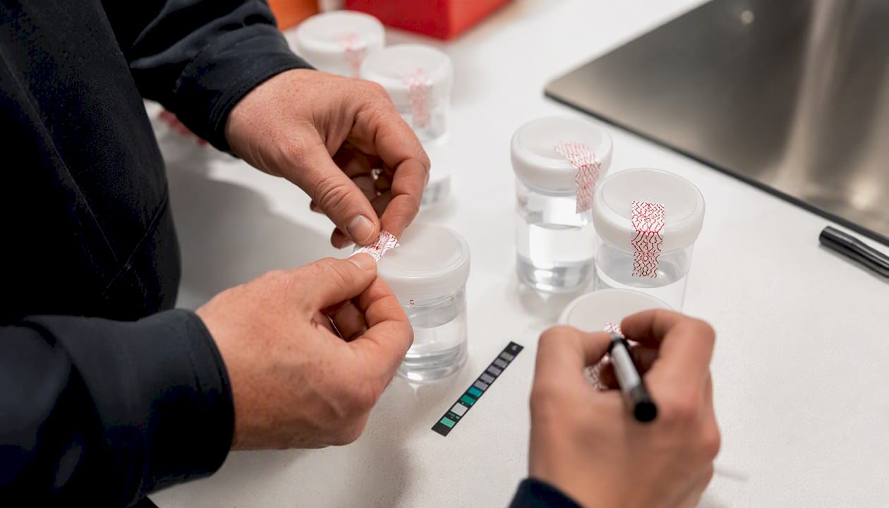 Hands sealing specimen bottles with tamper-evident seals