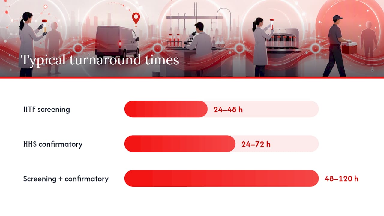 What should you budget for turnaround time and per-collection costs? — overview diagram