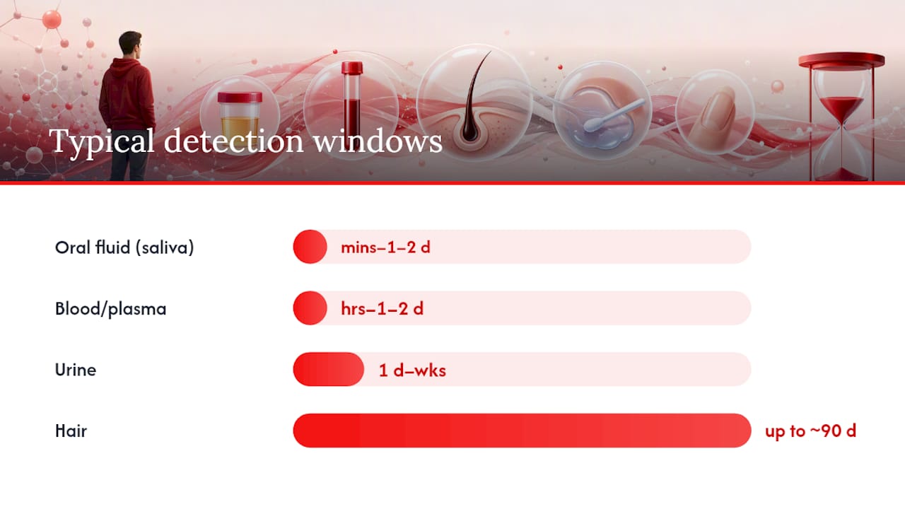 Diagram of drug detection windows by specimen