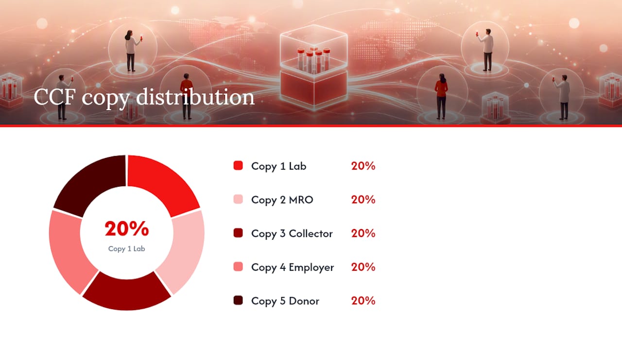 How Do You Maintain Chain of Custody on the CCF? — overview diagram